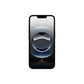 iPhone 16e